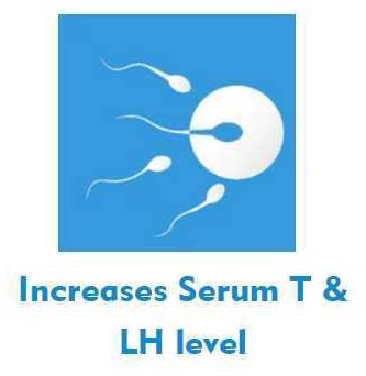 increase-serum